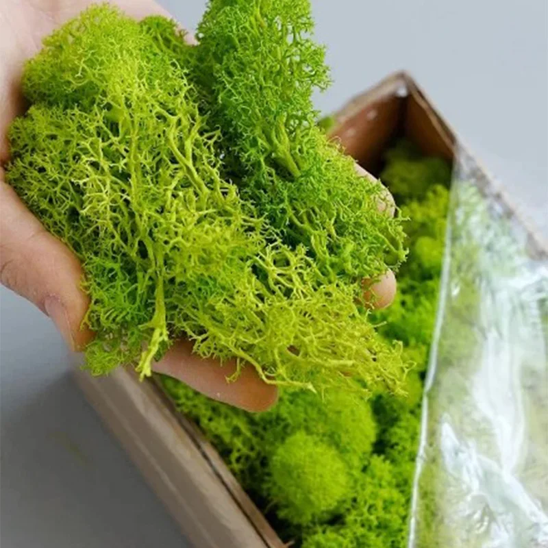 20-200g 인공 녹색 식물 가짜 잔디 영원한 생명  - Terrarium Moss Art 리뷰 및 가격