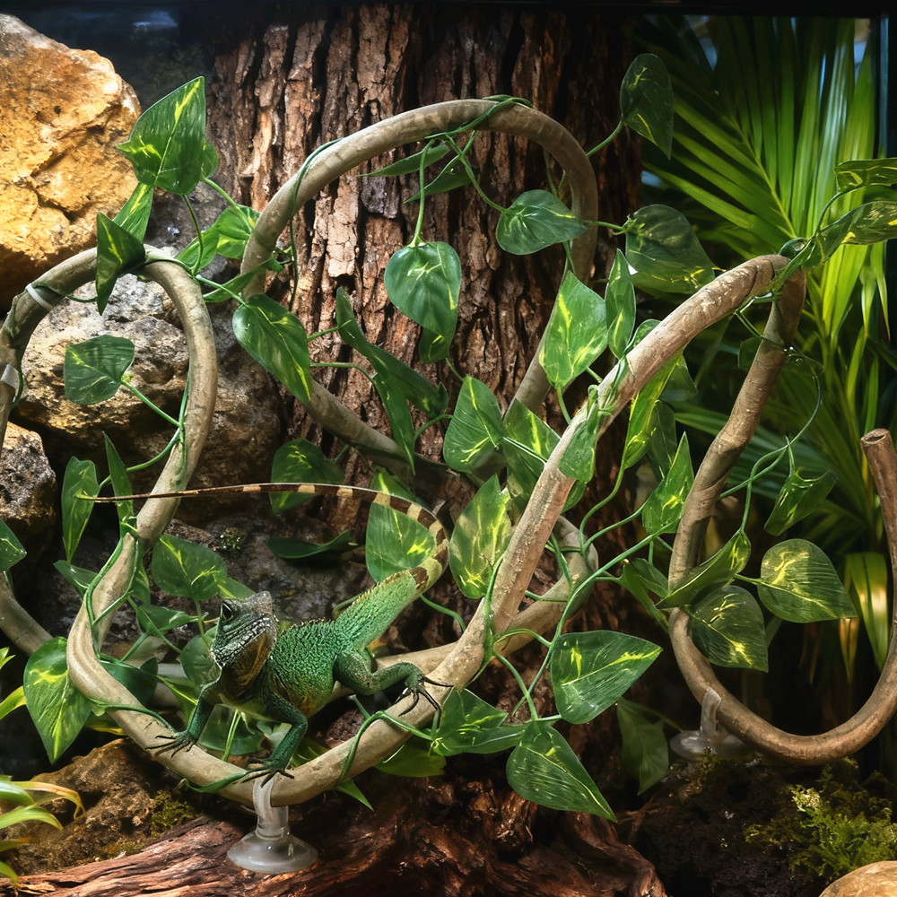 도마뱀 테라리움 탱크 애완동물 서식지 장식용 가짜 등나 - Terrarium Moss Art 리뷰 및 가격